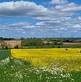 The Isle of Axholme 10-5-26 - May 2026 Walks