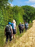 Gringley Ramble 21-6-26 - June 2026 Walks 