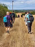 Tuxford and the Markhams 16-8-26 - August 2026 Walks