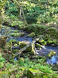 Longshaw Ramble 11-10-26 - October 2026 Walks