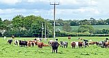 4th May 2025 - May 2025 Walks