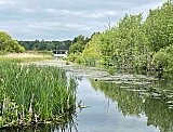 18t May 2025, Clumber Park - May 2025 Walks