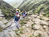 29th June 2025 - June 2025 Walks